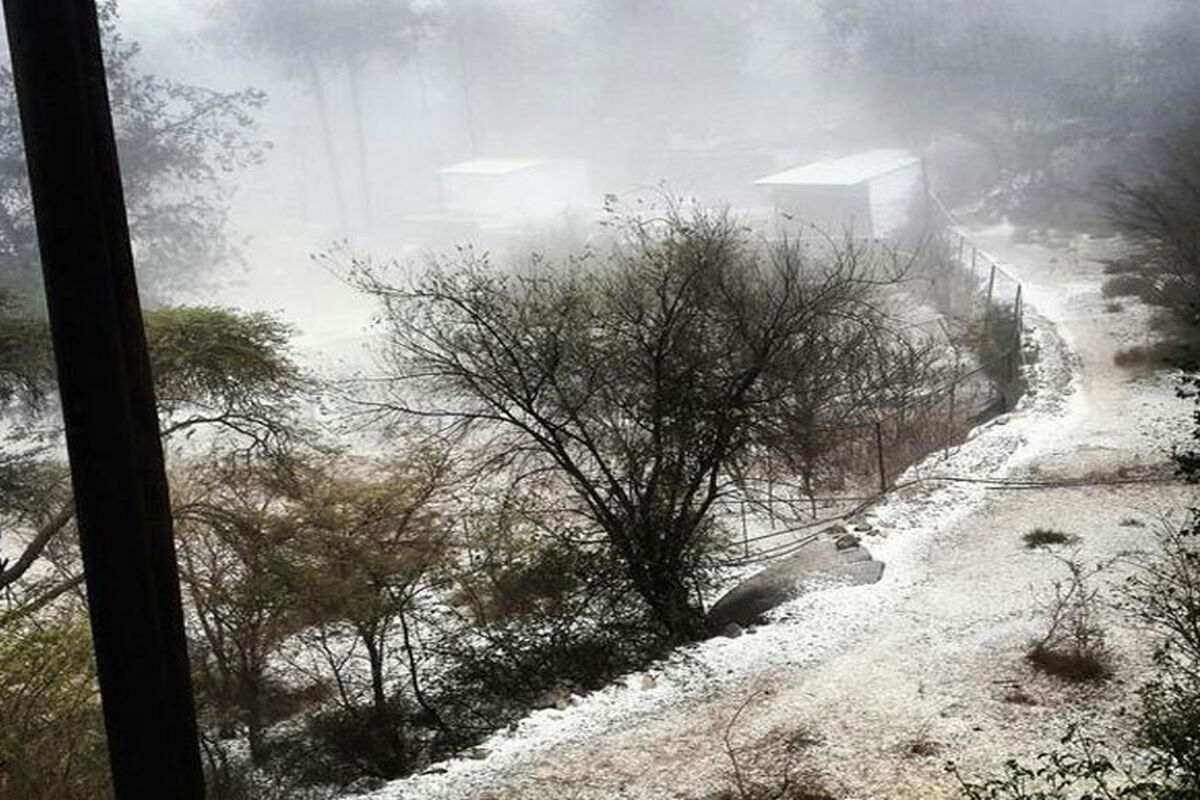عربستان 2