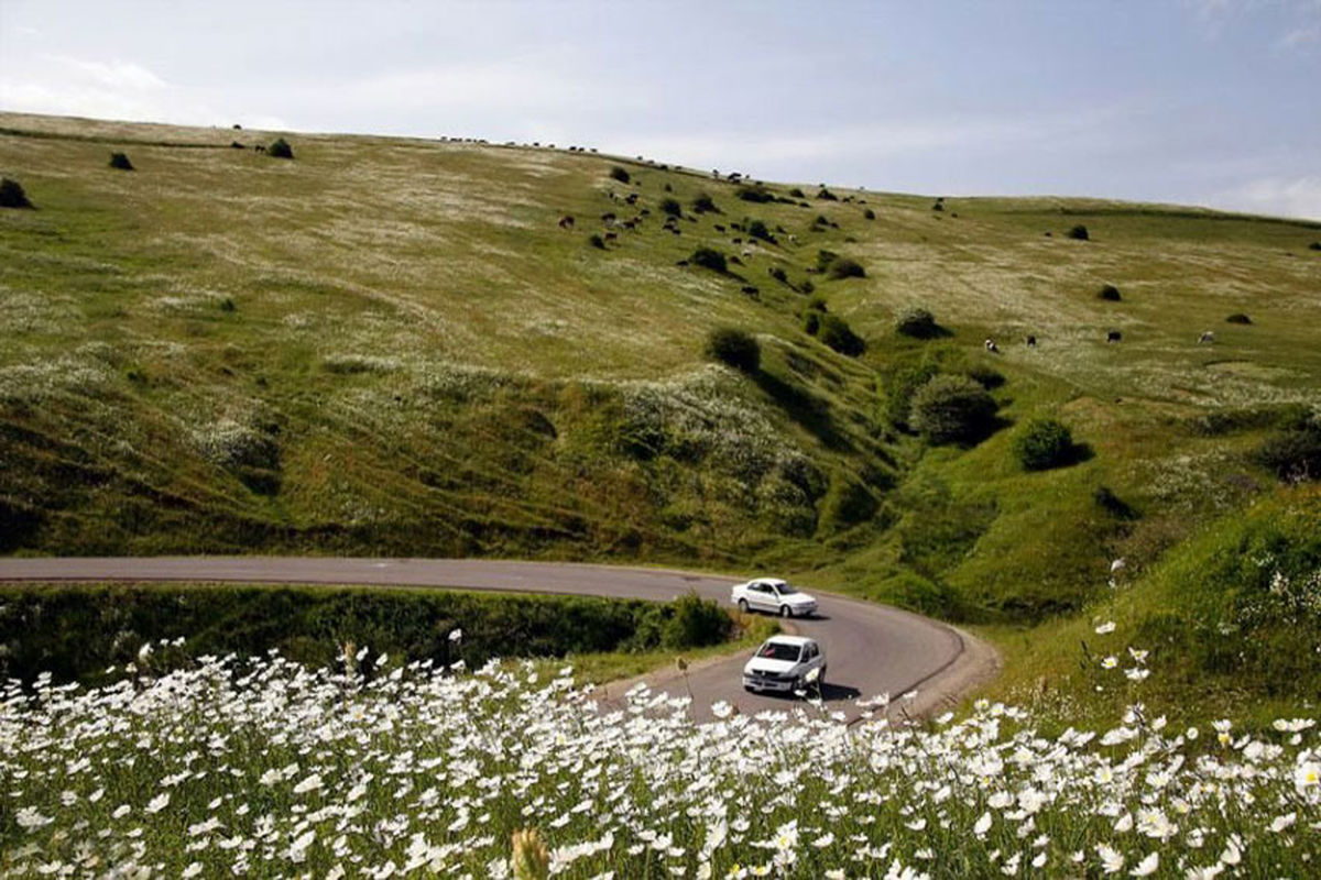 جنگل فندقلو