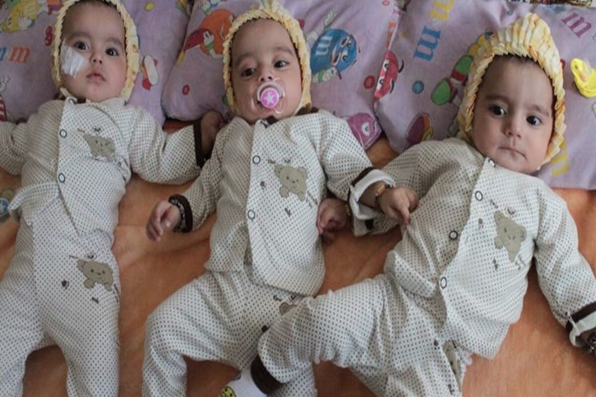 خانواده چند قلو