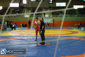 ایران برای میزبانی جام جهانی کشتی آزاد و فرنگی ۲۰۲۴ درخواست کتبی می‌دهد