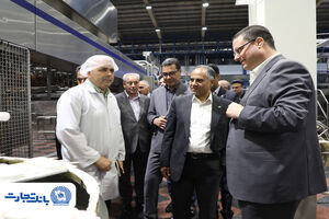 بانک تجارت حامی توسعه و افزایش توان تولیدی «دومینو»