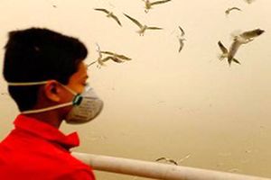 تکرار همیشگی هوای ناسالم اهواز برای گروه های حساس