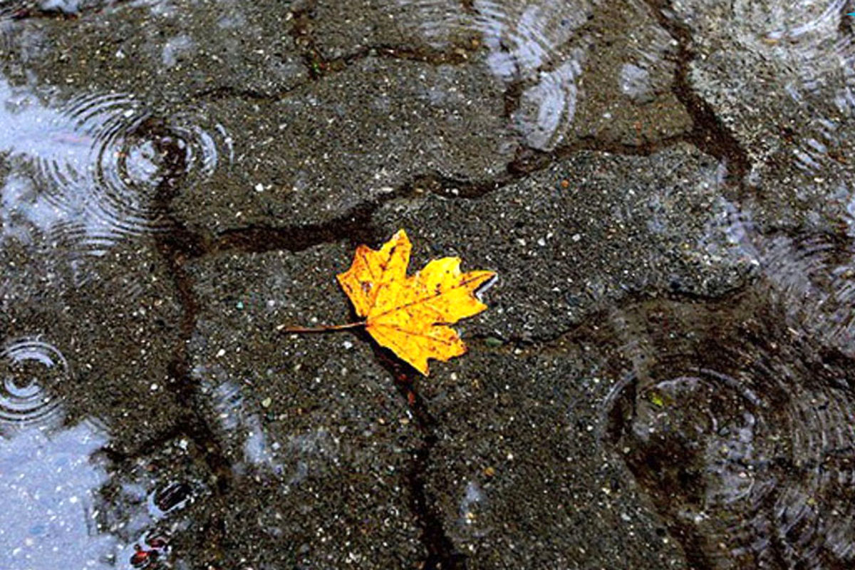 بارش باران خوزستان