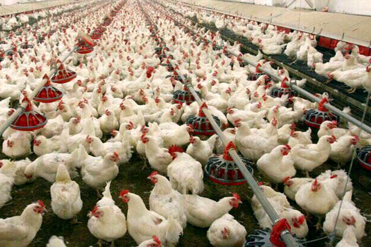 جهاد کشاورزی خمین