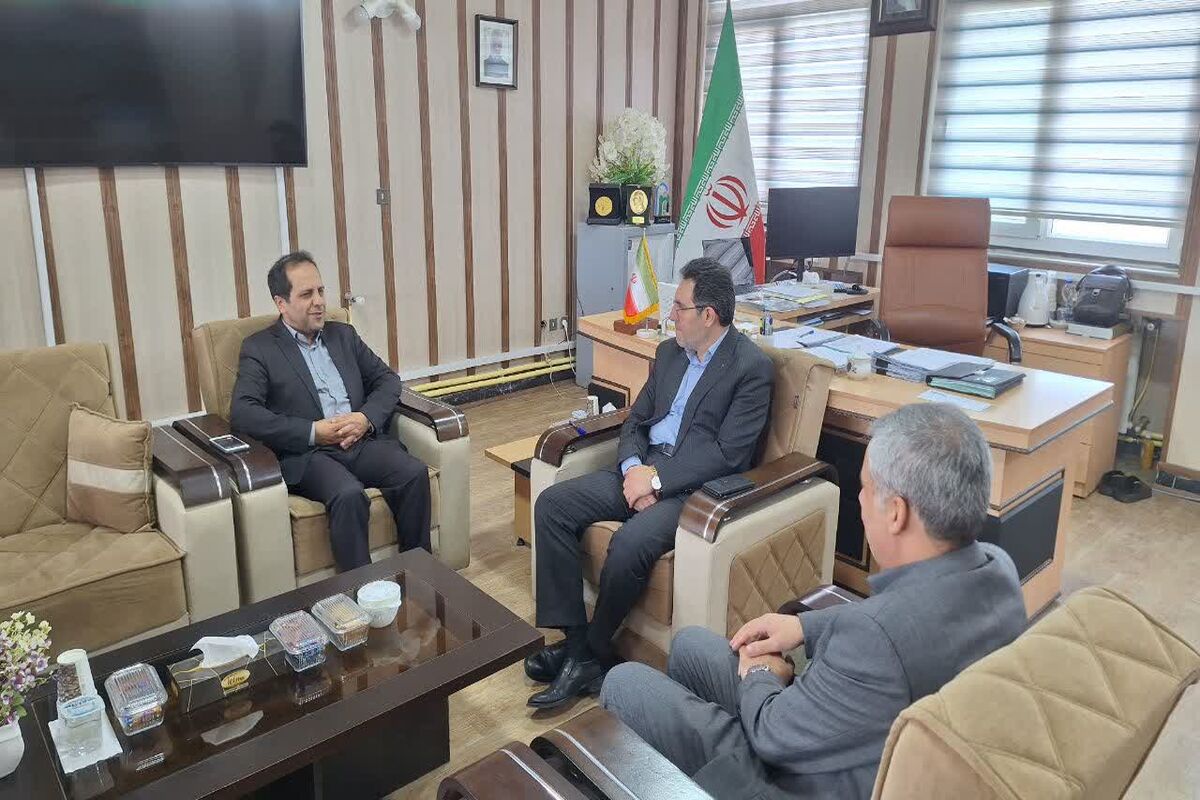 فرزاد قلندری