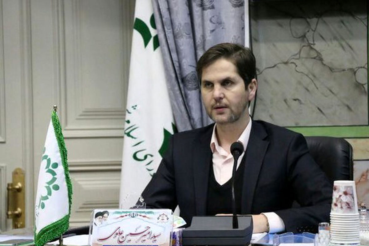 امیرحسین علوی