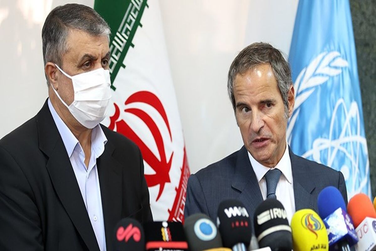 رافائل گروسی