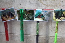 بازگشایی نمایشگاه عکس ،کتاب و اکران فیلم دفاع مقدس در سیریک