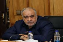 شوراها اگر خلاقیت داشته باشند دولت در امور شهری به آن‌ها اعتماد می‌کند