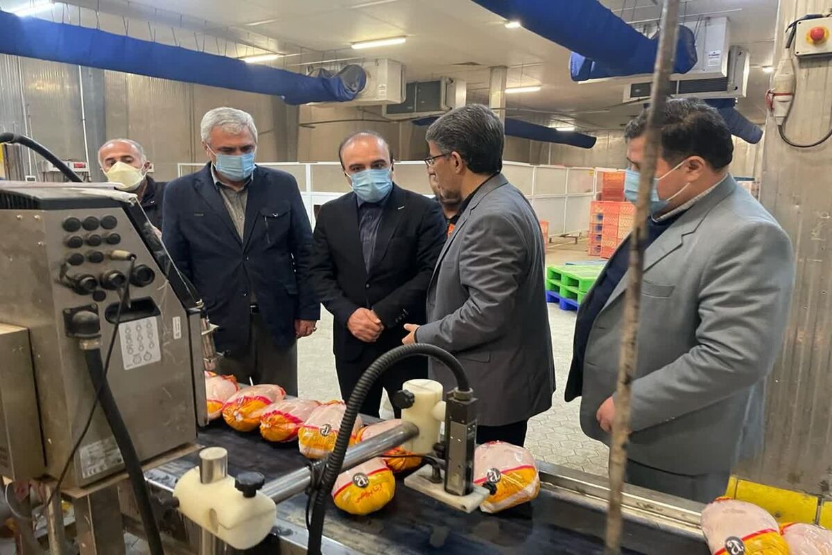 معاون امور اقتصادی استاندار اردبیل
