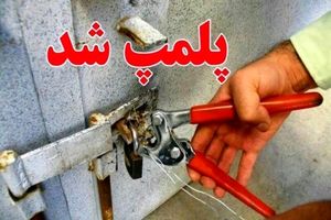 پلمب ۴ کارگاه ساختمانی بندرعباس در راستای کنترل بیماری تب دِنگی