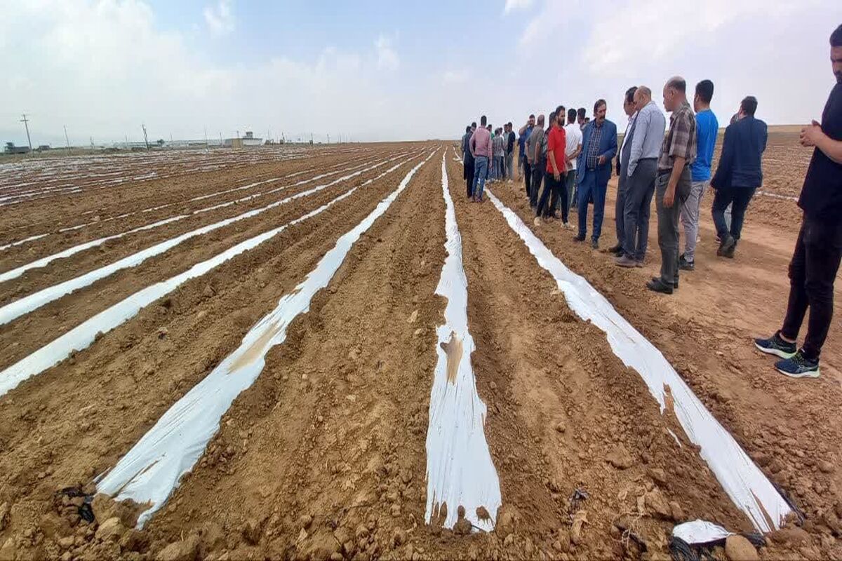 جهاد قزوین
