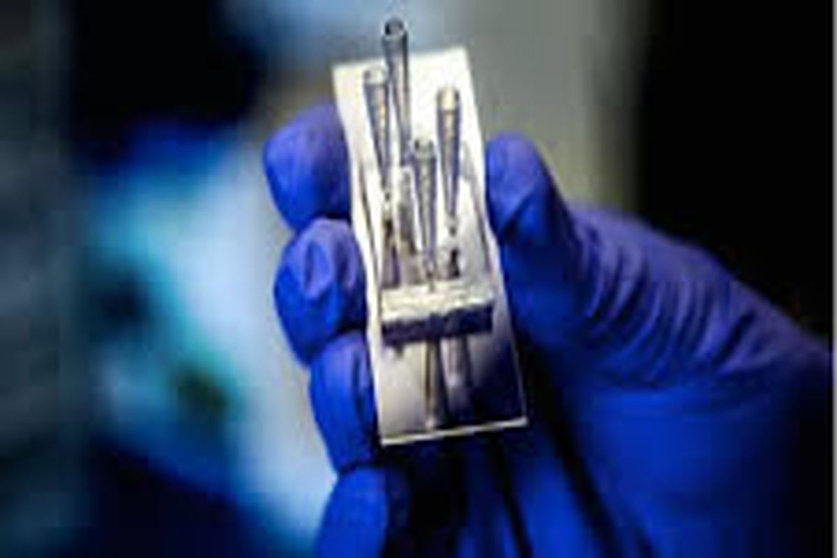 فوم نانوکامپوزیت