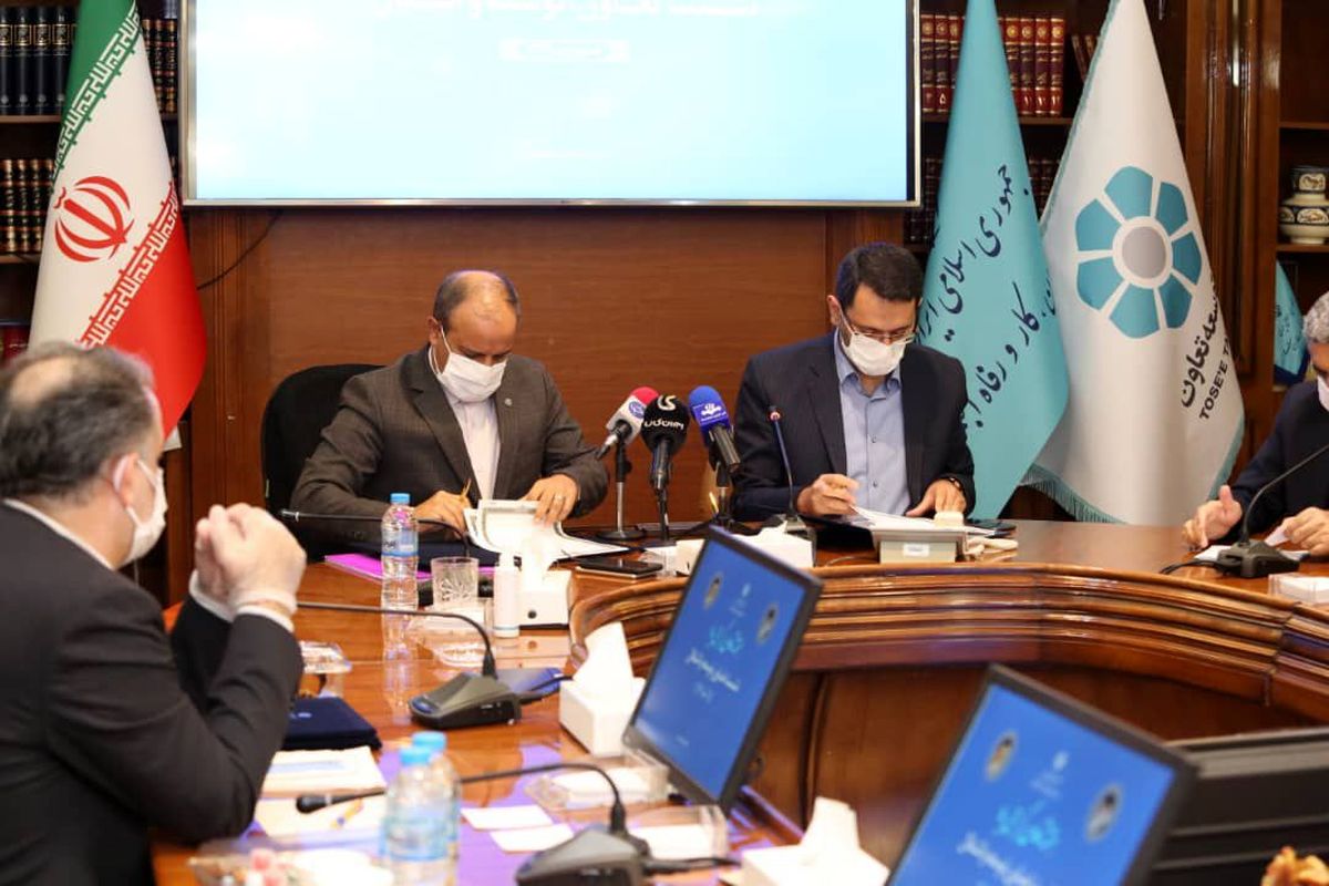 مدیر عامل بانک توسعه تعاون