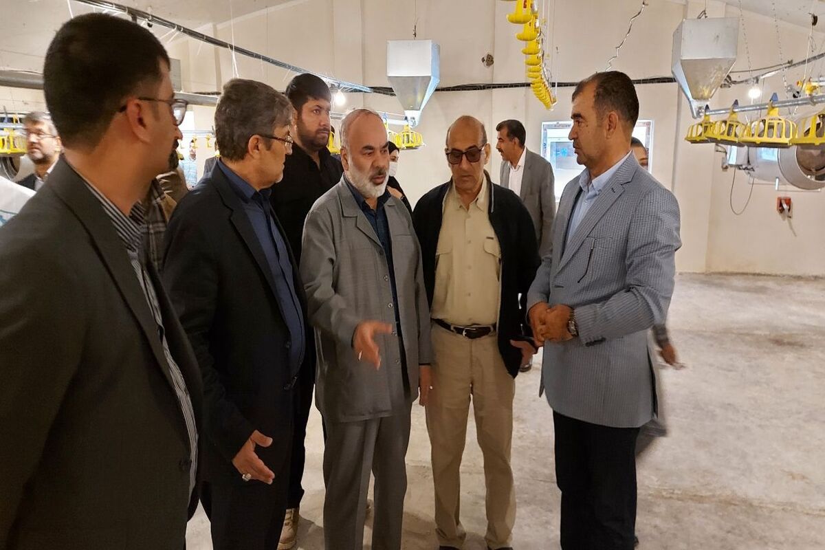 بازدید