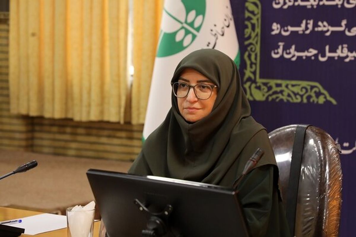 شینا انصاری