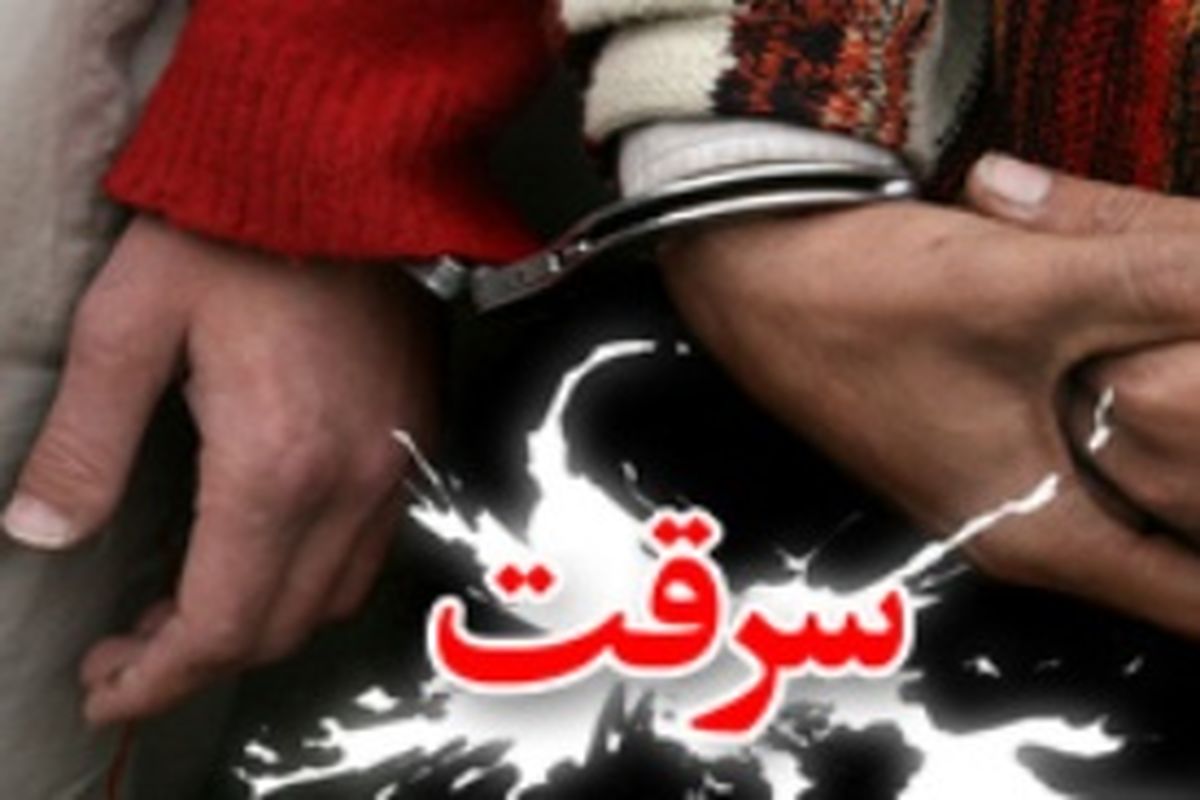 اصفهان- سرقت از منازل