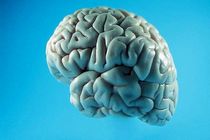 احتمال ابتلابه آلزایمراز۱۸ سالگی قابل تشخیص است