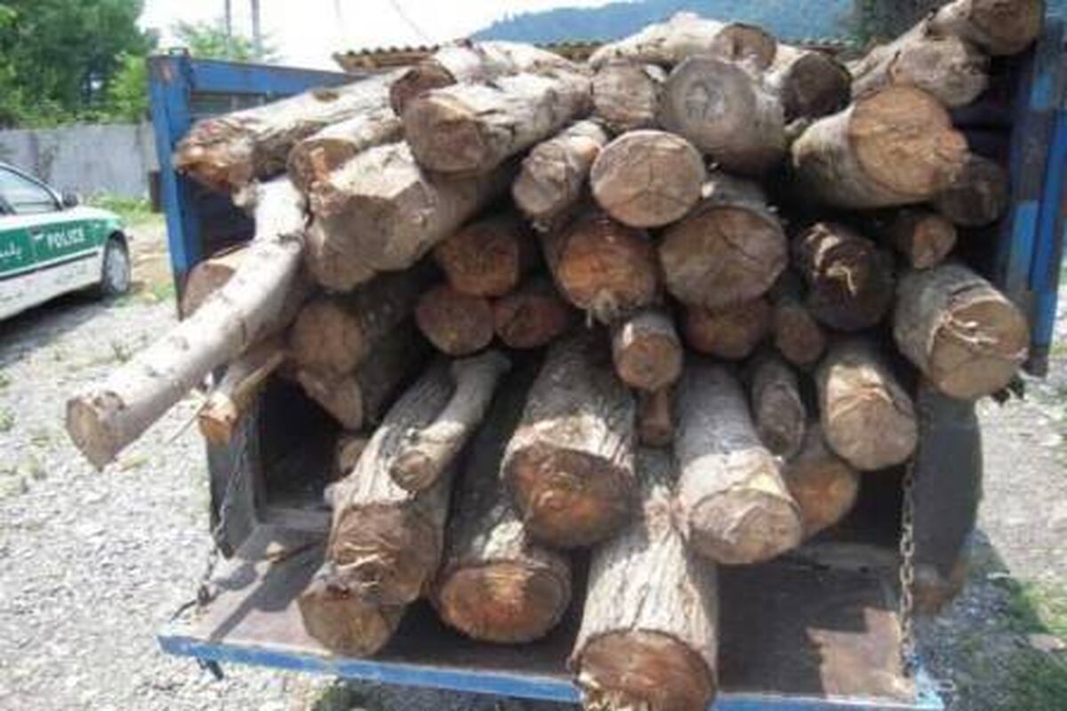 اصفهان- قاچاق چوب