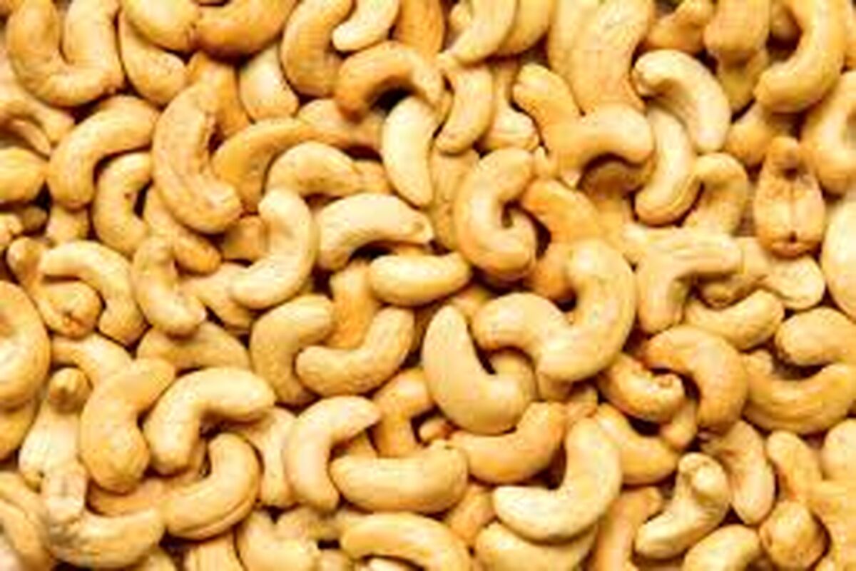 بادام هندی قاچاق