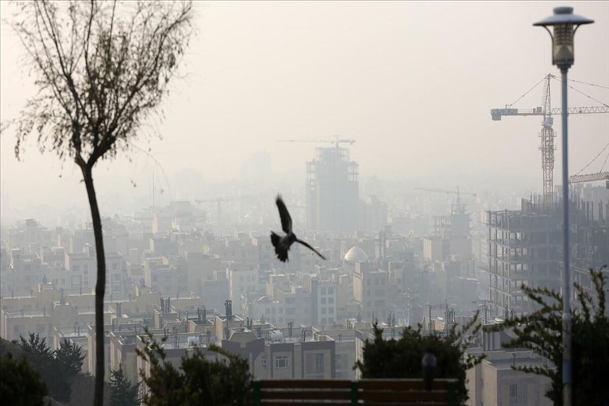هوای پاک