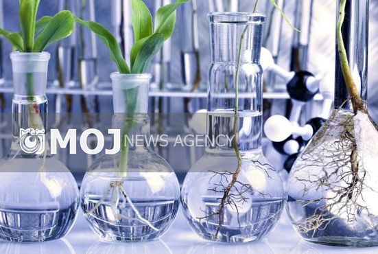 نامه ۳۰۶ عضو هیأت علمی به ابتکار درباره محصولات تراریخته
