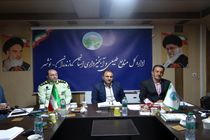 پیش بینی تولید 20 میلیون اصله نهال برای 4 سال در غرب مازندران