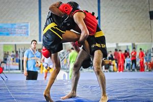 مرحله دوم انتخابی تیم ووشوی جوانان فردا برگزار می‌شود