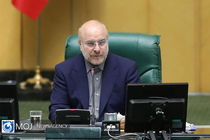 مجلس توقع دارد سیاست های اقتصادی دولت به صورت شفاف و روشن اعلام شود