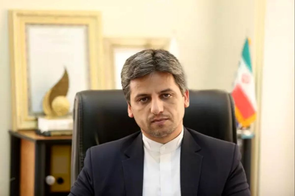 هادی محمودنژاد