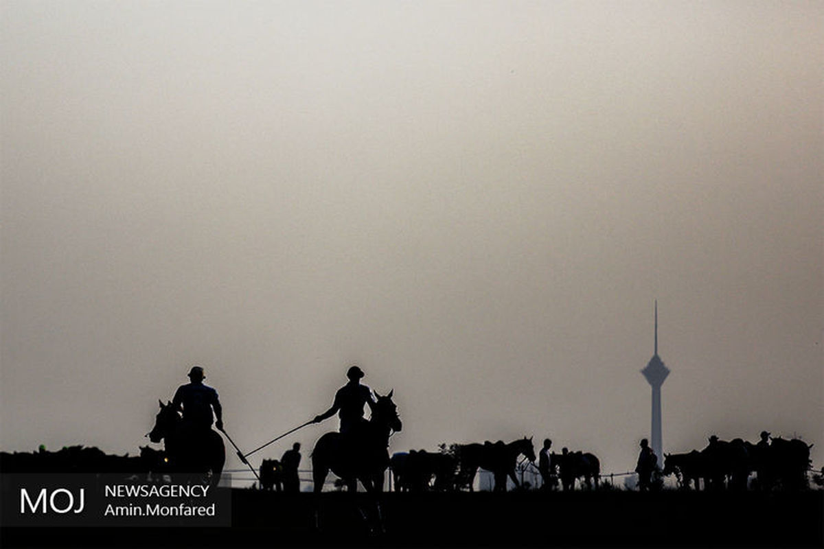 رقابت+های+جام+جهانی+چوگان (1)