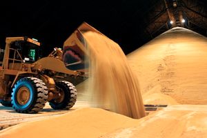 احمدی‌نژاد درگذشت داوود رشیدی را تسلیت گفت