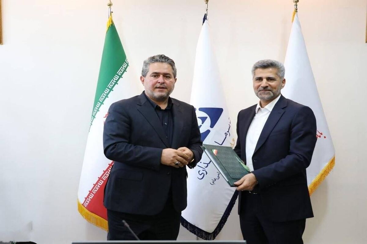 هلدینگ