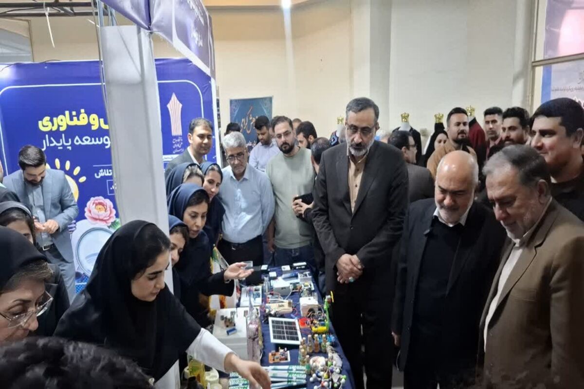 شرکت های بومی