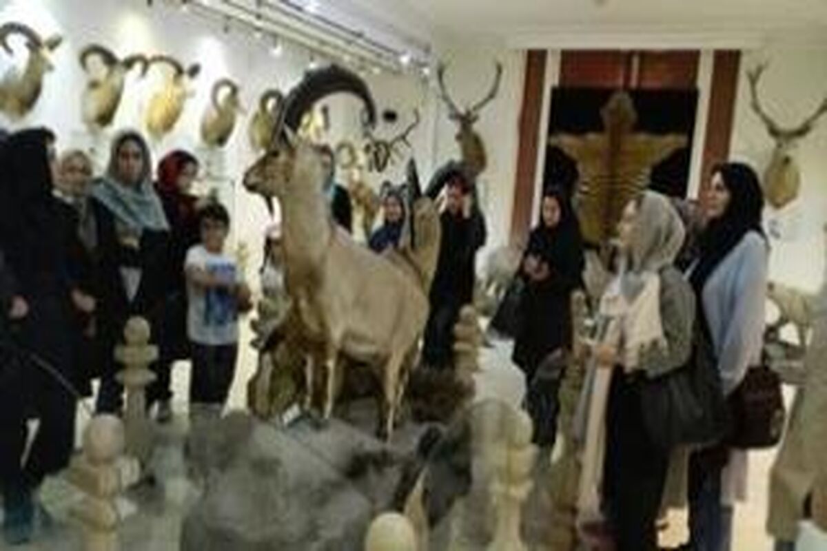 موزه داراباد