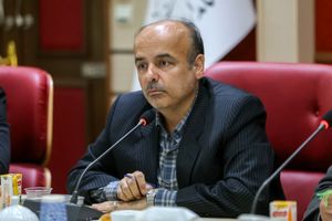 برنامه ریزی برای خرید تضمینی ۲۱۰  هزار تُن گندم در استان انجام شده است