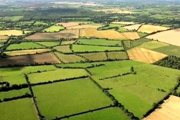 زمین برای سرمایه‌گذاری در بخش کشاورزی تامین می شود