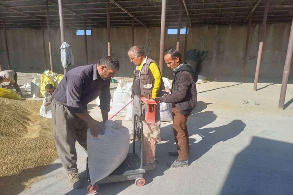 کیار