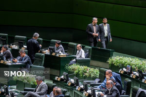 مجلس تحقیق و تفحص از طرح کشاورزی ۵۵۰ هزار هکتاری خوزستان و ایلام را تصویب کرد