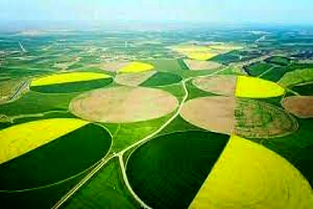 کشت و صنعت مغان