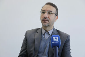 جمع‌آوری ۴۰۰۰ سگ بلاصاحب در نیمه دوم سال ۱۴۰۳ در تبریز