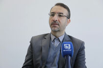 جمع‌آوری ۴۰۰۰ سگ بلاصاحب در نیمه دوم سال ۱۴۰۳ در تبریز