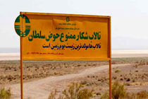 پاسگاه محیط بانی حوض سلطان در استان قم احداثمی شود