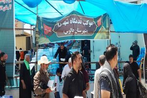 توزیع بیش از 40 هزار پُرس غذای گرم بین زائران حسینی در نجف اشرف + تصاویر