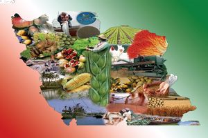 در این سفر تلاش کردیم صادرات را توسعه دهیم