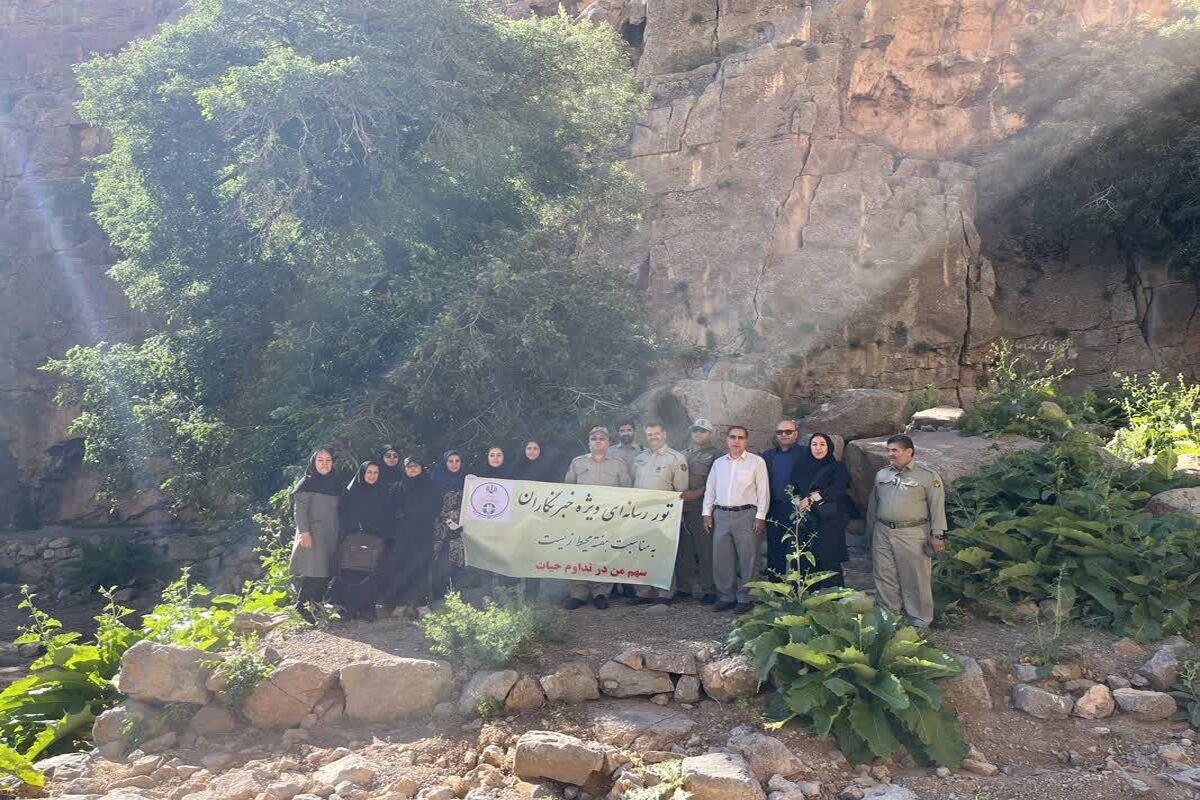 محیط زیست