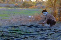 سمینار مدیریت بهینه منابع آبی با رویکرد آب مجازی در یزد برگزار شد