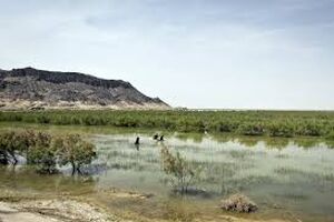 برای دریافت حق آبه هامون چه کرده اید؟