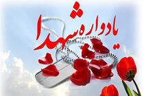 یادواره ۲۸ شهید پایگاه مقاومت محله کسنویه یزد برگزار شد