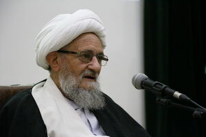 اقتصاد کشور را بر پایه تهیه غذای حلال بنا کنیم
